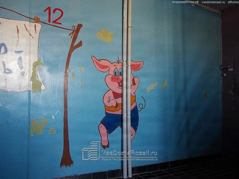 Togliatti. Thanks to water-pipes appeared, life of this small pig has changed greatly, dancing it round