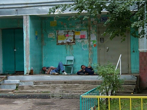 Kazan. Не лают, не кусают и в дом пройти мешают.
Проспект Фатыха Амирхана, 71
