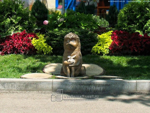 Krasnodar. There it is, this nice little hedgehog in a fog!