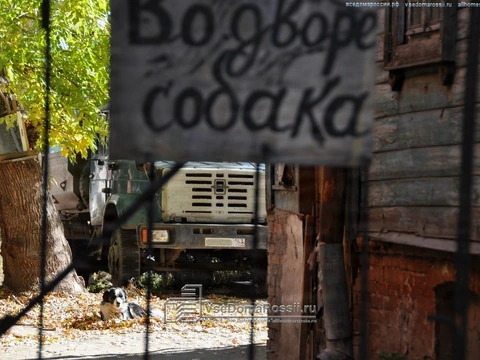 Samara. Don’t beware of the dog! It’s very kind.