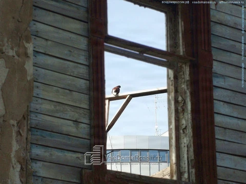 Samara. А из нашего окна Самара новая видна