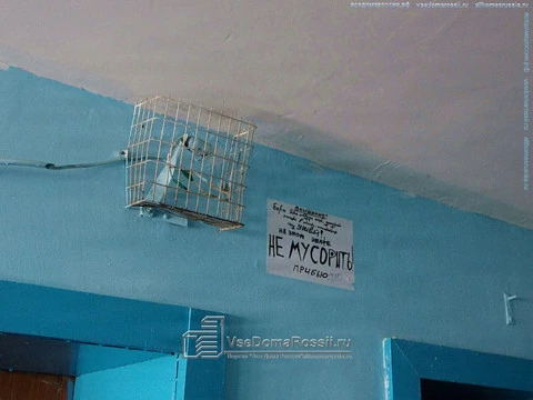 Togliatti. Communal entrance hallway in this house is kept clean only by horrification and intimidation (see the ads). Tupolev Boulevard, 5