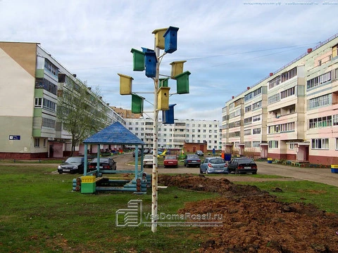 Nizhnekamsk. The problem of urban growth concerned not only people but also birds