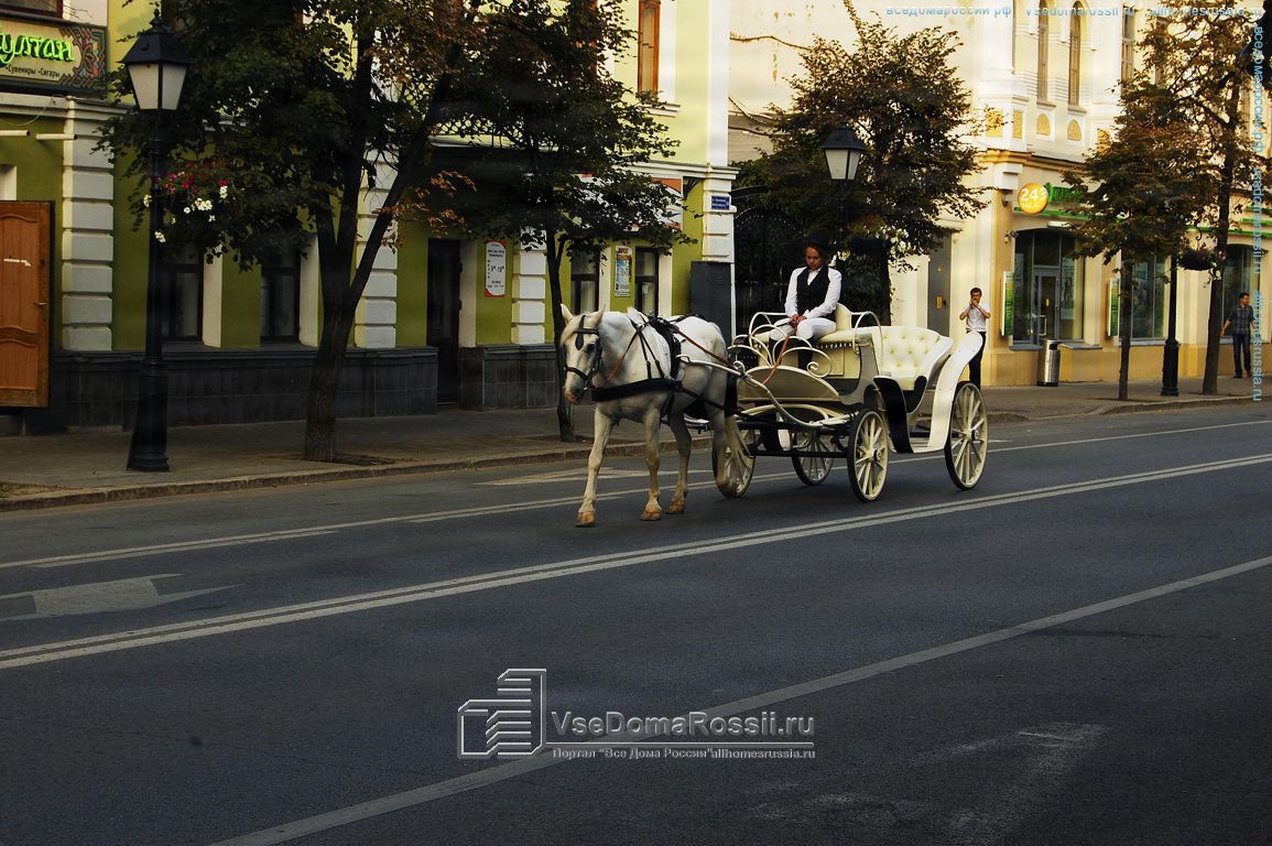 Kazan. The sad horse carrying heavy burden went glumly through the evening city