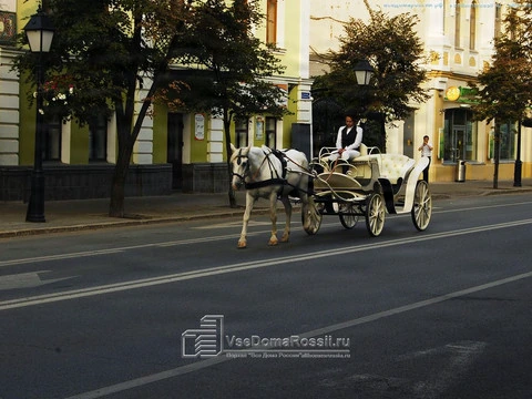 Kazan. The sad horse carrying heavy burden went glumly through the evening city